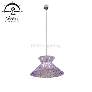 Lighting Designer Clear Purple Acrylic PMMA E27 Pendant Lamp 9962
